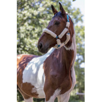 Cavezza Norton in montone sintetico Nero / nero