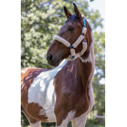 Cavezza Norton in montone sintetico Blu elettrico / écru