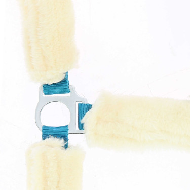 Cavezza Norton in montone sintetico Blu elettrico / écru