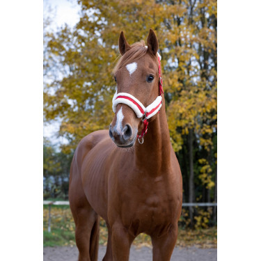 Capezzina Norton Confort Capezzina Norton Confort
