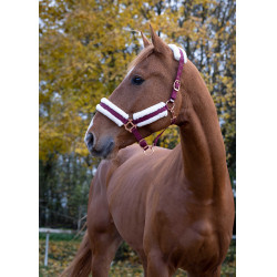 Capezzina Norton Confort Bordeaux