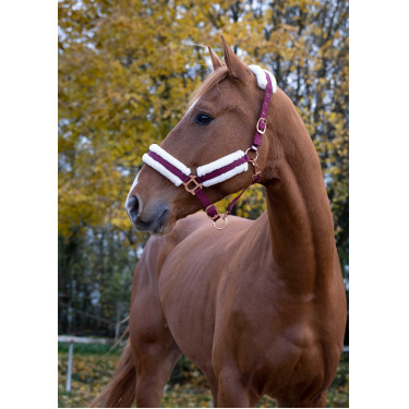 Capezzina Norton Confort Bordeaux