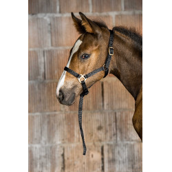 Capestro in nylon per puledro Nero