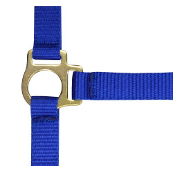 Capestro in nylon per puledro Blu reale Capestro in nylon per puledro Blu reale