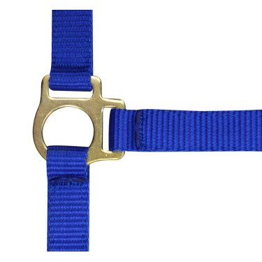 Capestro in nylon per puledro Blu reale Capestro in nylon per puledro Blu reale