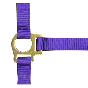 Capestro in nylon per puledro Capestro in nylon per puledro