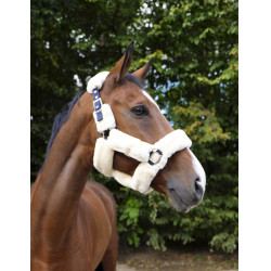 Capezzina Equithème Teddy Marina / écru Blu