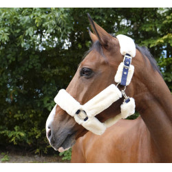 Capezzina Equithème Teddy Marina / écru Blu