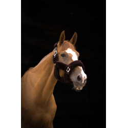 Capezzina Equithème Teddy Nero / marrone