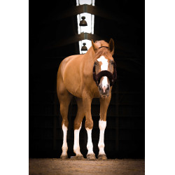 Capezzina Equithème Teddy Nero / marrone