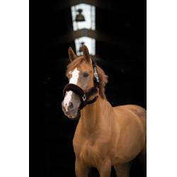 Capezzina Equithème Teddy Verde / marrone