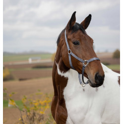 Capezzina Equithème Nylon Grigio scuro