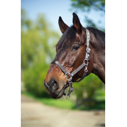 Capezzina Equithème Nylon Grigio scuro