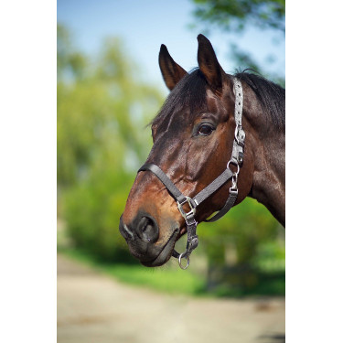 Capezzina Equithème Nylon Grigio scuro