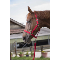 Set cavezza e lunghina Club Rosso