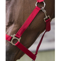 Set cavezza e lunghina Club Rosso Set cavezza e lunghina Club Rosso