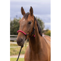 CAPEZZA ETOLÓGICA + LUNGA FUN COLOUR Fucsia neon Rosa