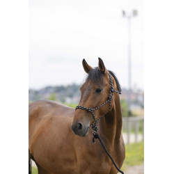 Capestro etologico Norton + lunghina Eco Nero / bianco / argento