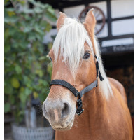 Capezzina Norton Cavallo da Tiro Nero Capezzina Norton Cavallo da Tiro Nero