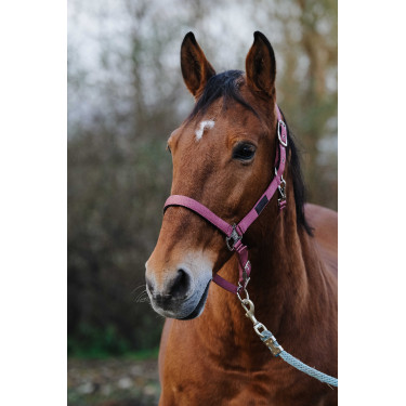 Capestro in nylon Spring Equithème Rosa