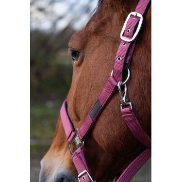 Capestro in nylon Spring Equithème Rosa