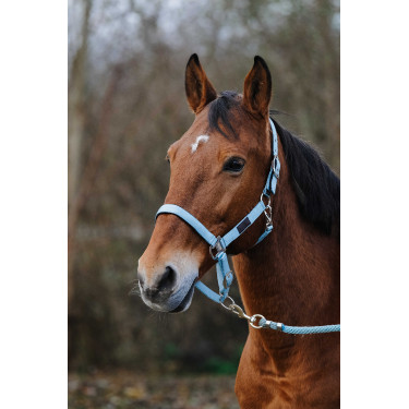 Capestro in nylon Spring Equithème