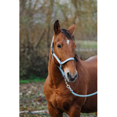 Capestro in nylon Spring Equithème Capestro in nylon Spring Equithème