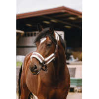 Capestro in nylon Equithème Fashion Marrone