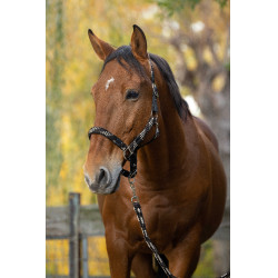 Capestro + lunghina Equitheme Intrecciato Beige / cioccolato / nero