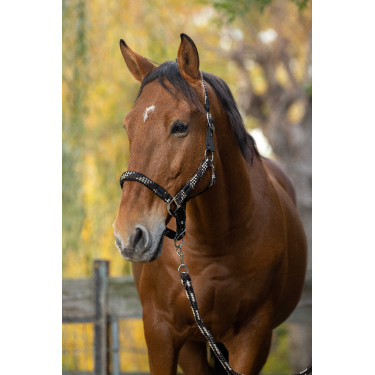 Capestro + lunghina Equitheme Intrecciato Beige / cioccolato / nero