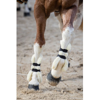 Stinchiere Norton XTR con bottoni in montone sintetico Blu navy