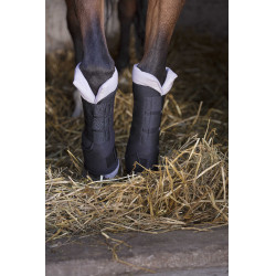 Stinchiere da riposo Norton