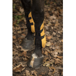 Set ghette e paranocche Lami-Cell LC Miele / dorato Giallo Set ghette e paranocche Lami-Cell LC Miele / dorato Giallo