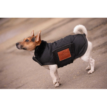 Coperta per cane Diagonal Paddock Sports