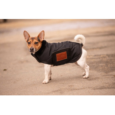 Coperta per cane Diagonal Paddock Sports Coperta per cane Diagonal Paddock Sports