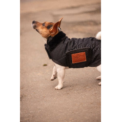 Coperta per cane Diagonal Paddock Sports Nero
