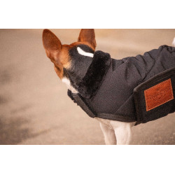 Coperta per cane Diagonal Paddock Sports Nero