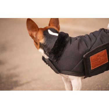 Coperta per cane Diagonal Paddock Sports Coperta per cane Diagonal Paddock Sports