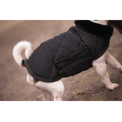 Coperta per cane Diagonal Paddock Sports Nero