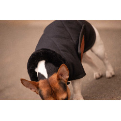 Coperta per cane Diagonal Paddock Sports Nero