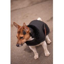 Coperta per cane Diagonal Paddock Sports Nero
