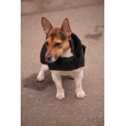 Coperta per cane Diagonal Paddock Sports Nero