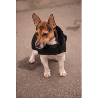 Coperta per cane Diagonal Paddock Sports Coperta per cane Diagonal Paddock Sports