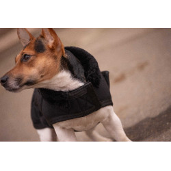 Coperta per cane Diagonal Paddock Sports Nero