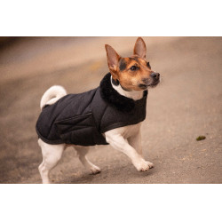 Coperta per cane Diagonal Paddock Sports Nero
