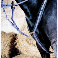 Pettorale Biotack T de T Verde tiglio