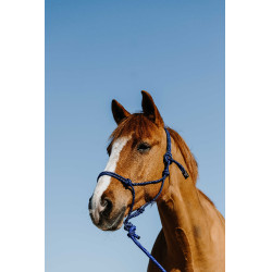 Capestro etologico + longhina Norton Duo Blu / nero