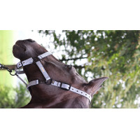 Capezzina Lami-Cell Midnight Blu ardesia Capezzina Lami-Cell Midnight Blu ardesia