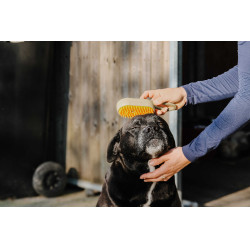 Striglia con manico Hippotonic Vapeur Talpa Marrone