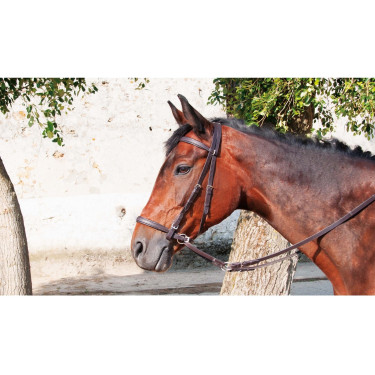Hackamore Bitless T de T Havana scuro Marrone